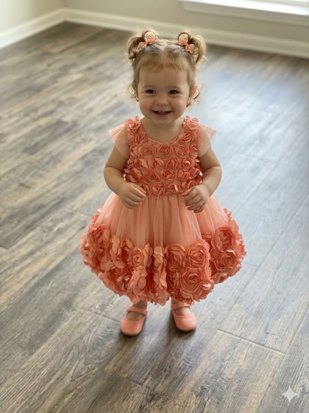 Nanette 3D Floral Rose Petal Party Dress size 24 months